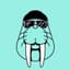 Walrus